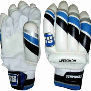 SS Academy Cricket Batting Gloves
