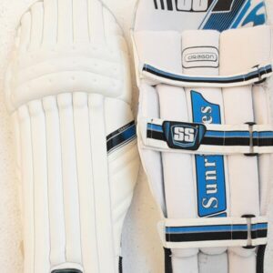SS Dragon Batting Pads